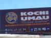 Kochi umau