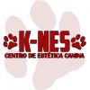 K-NES